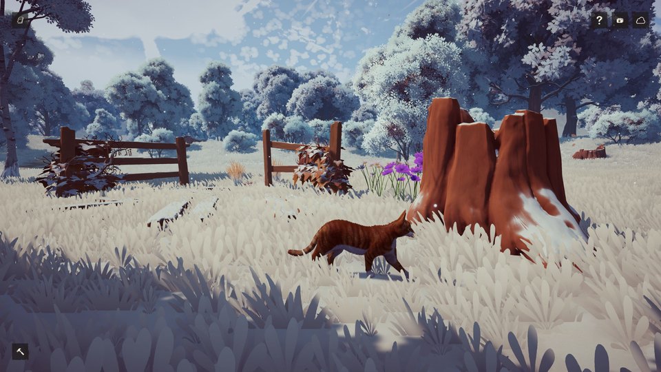 Junebug: Snow Paws
