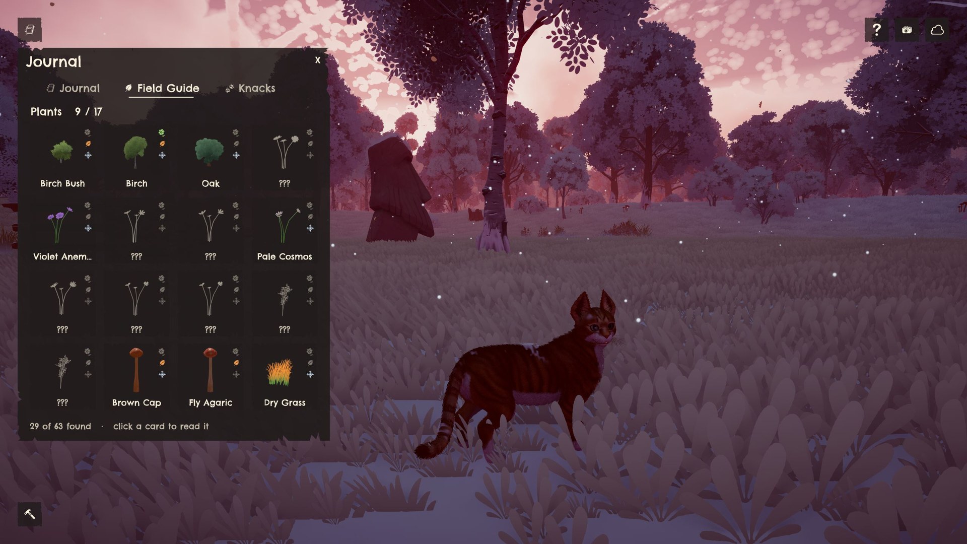 The Journal open on the Field Guide while the cat stands in a snowy meadow