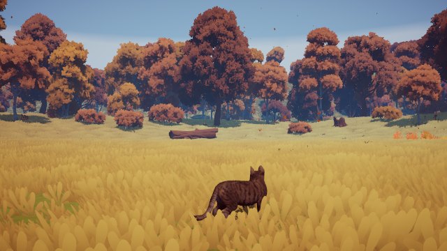 Forest Clearing in Junebug