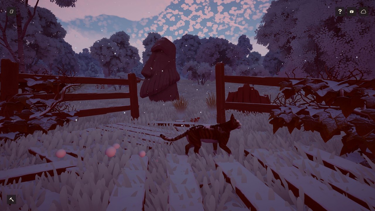Mountain Vista in Junebug